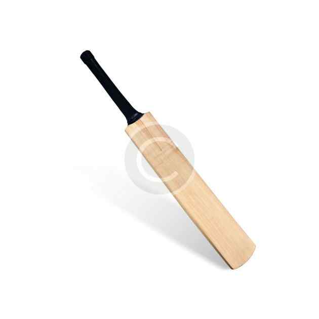 Cricket bat